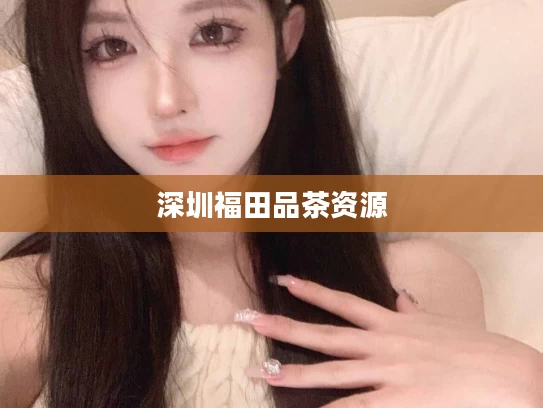 深圳福田品茶资源