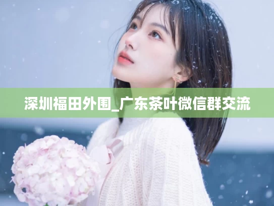 深圳福田外围_广东茶叶微信群交流