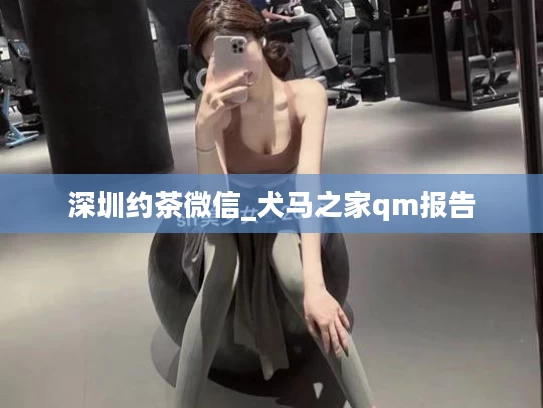 深圳约茶微信_犬马之家qm报告