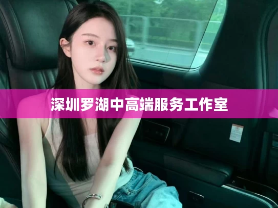 深圳罗湖中高端服务工作室