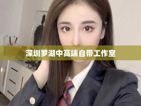 深圳罗湖中高端自带工作室