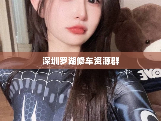 深圳罗湖修车资源群