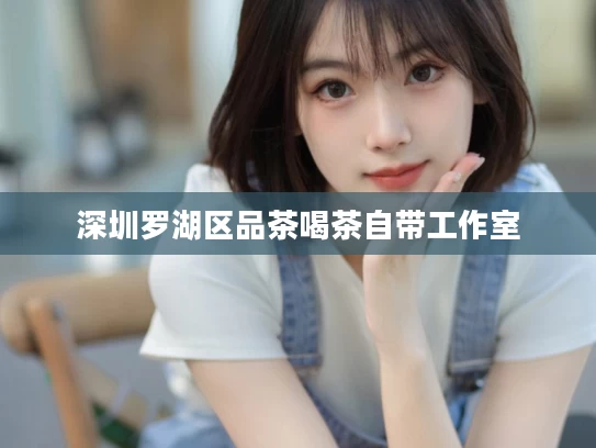 深圳罗湖区品茶喝茶自带工作室