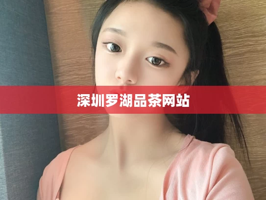 深圳罗湖品茶网站