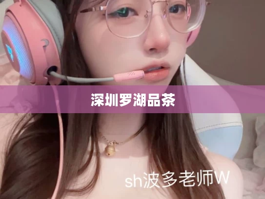 深圳罗湖品茶
