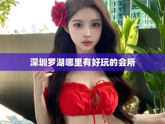 深圳罗湖哪里有好玩的会所