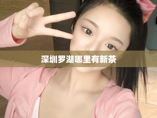 深圳罗湖哪里有新茶
