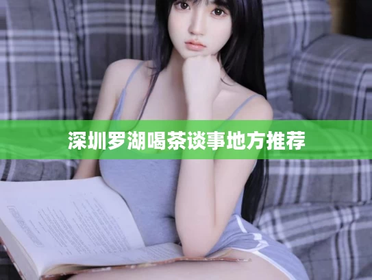 深圳罗湖喝茶谈事地方推荐