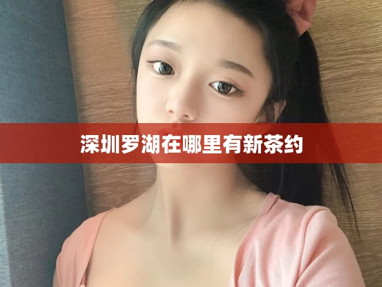 深圳罗湖在哪里有新茶约