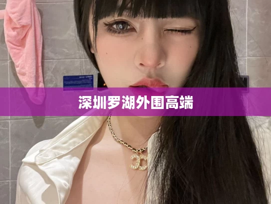 深圳罗湖外围高端