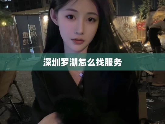 深圳罗湖怎么找服务