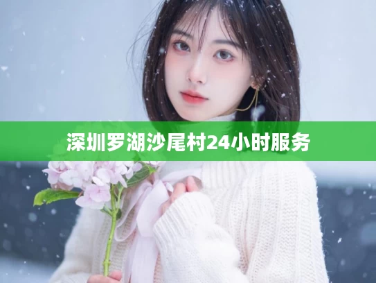 深圳罗湖沙尾村24小时服务