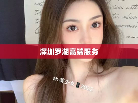 深圳罗湖高端服务