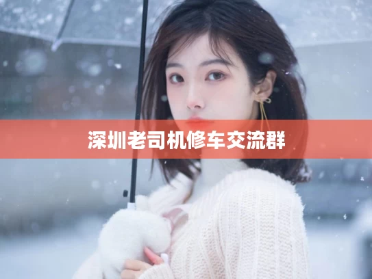 深圳老司机修车交流群