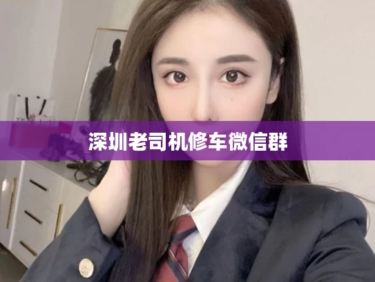 深圳老司机修车微信群