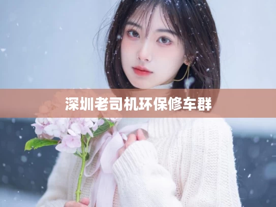 深圳老司机环保修车群