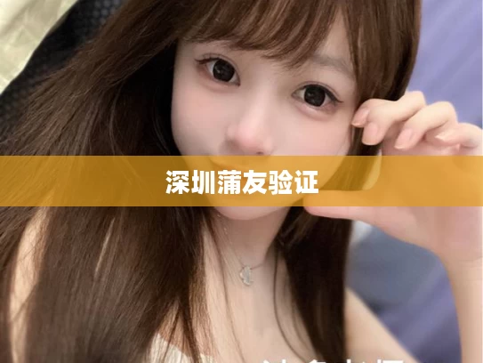 深圳蒲友验证
