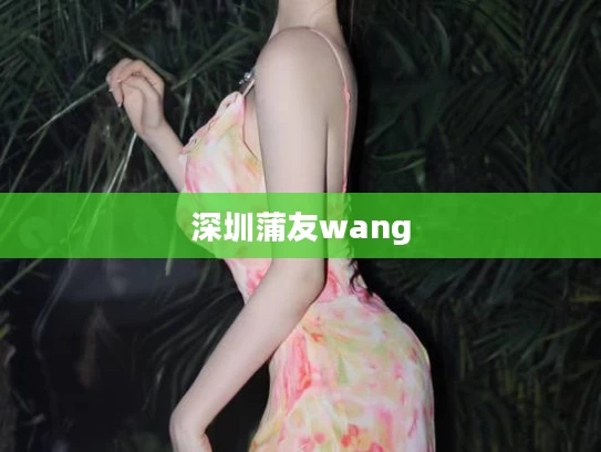 深圳蒲友wang