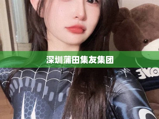 深圳蒲田集友集团