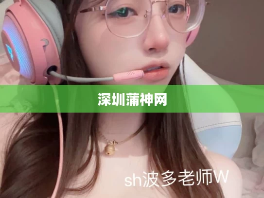 深圳蒲神网