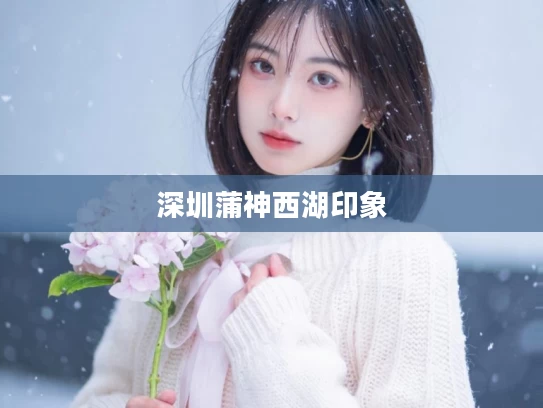 深圳蒲神西湖印象