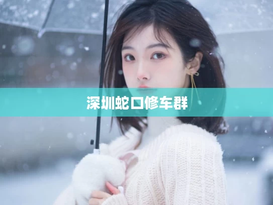 深圳蛇口修车群