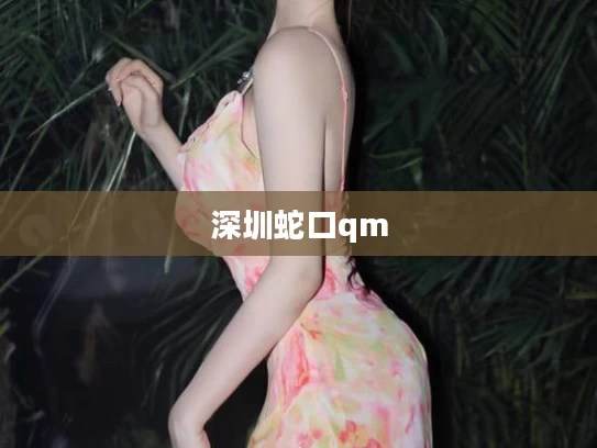 深圳蛇口qm