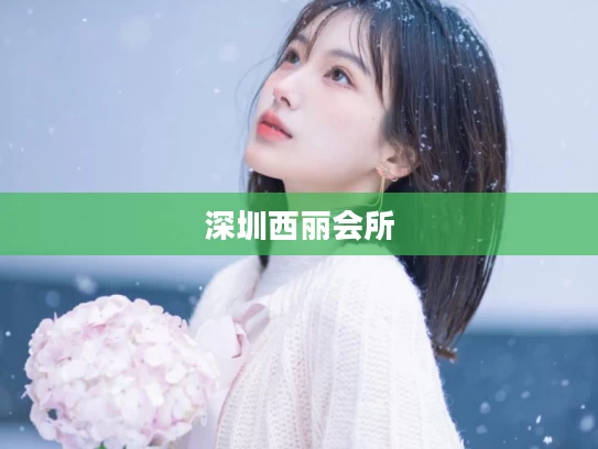 深圳西丽会所