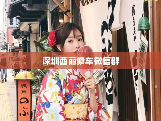 深圳西丽修车微信群
