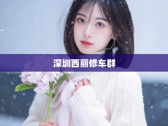 深圳西丽修车群