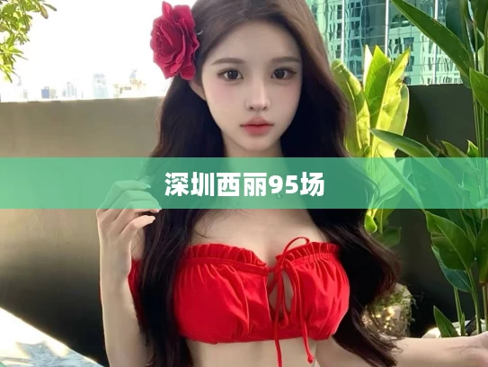 深圳西丽95场