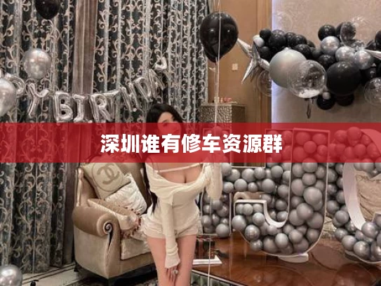 深圳谁有修车资源群