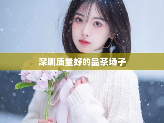 深圳质量好的品茶场子