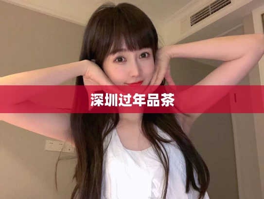 深圳过年品茶