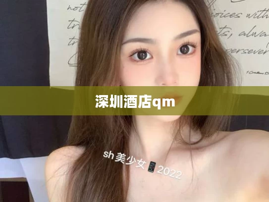 深圳酒店qm