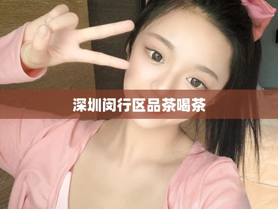 深圳闵行区品茶喝茶