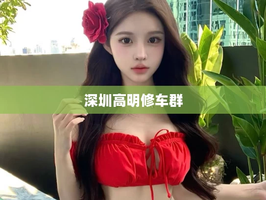 深圳高明修车群