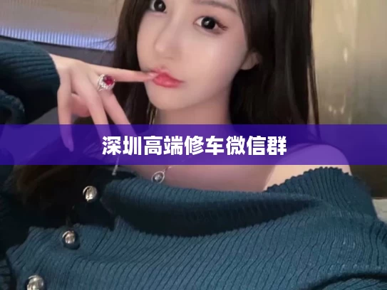 深圳高端修车微信群