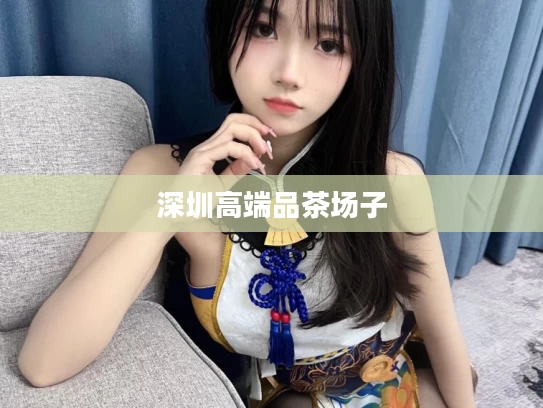 深圳高端品茶场子