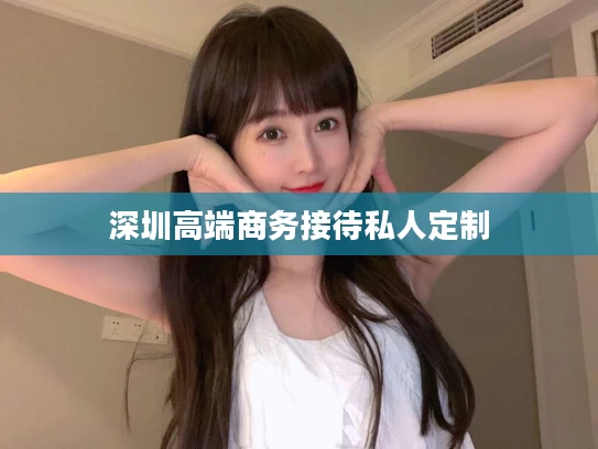 深圳高端商务接待私人定制