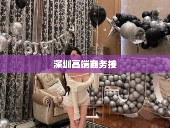 深圳高端商务接