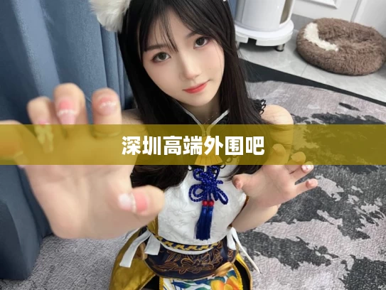 深圳高端外围吧