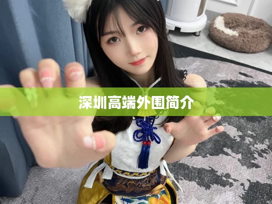 深圳高端外围简介