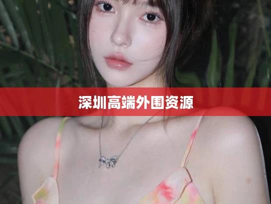深圳高端外围资源