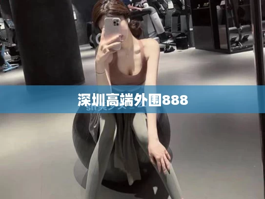 深圳高端外围888