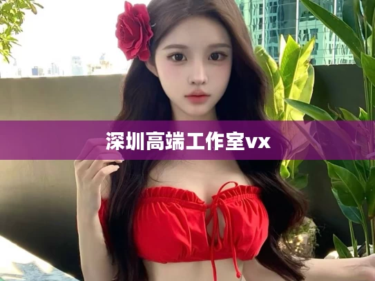 深圳高端工作室vx