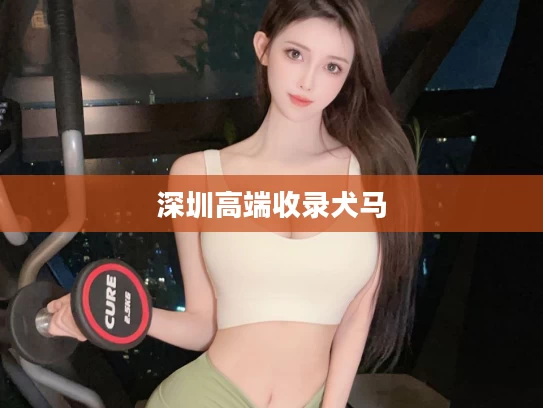 深圳高端收录犬马