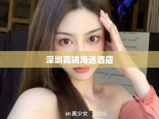 深圳高端海选酒店