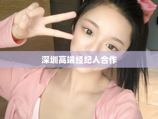 深圳高端经纪人合作