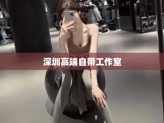 深圳高端自带工作室